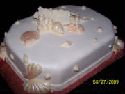 Bridalseashell.jpg