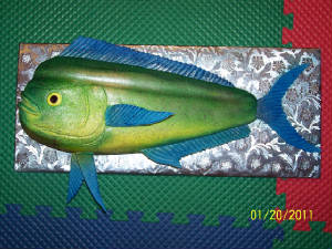 MahiMahicake.jpg