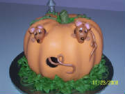 PUMPKIN.jpg