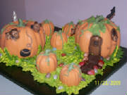 Pumpkinpatch.jpg