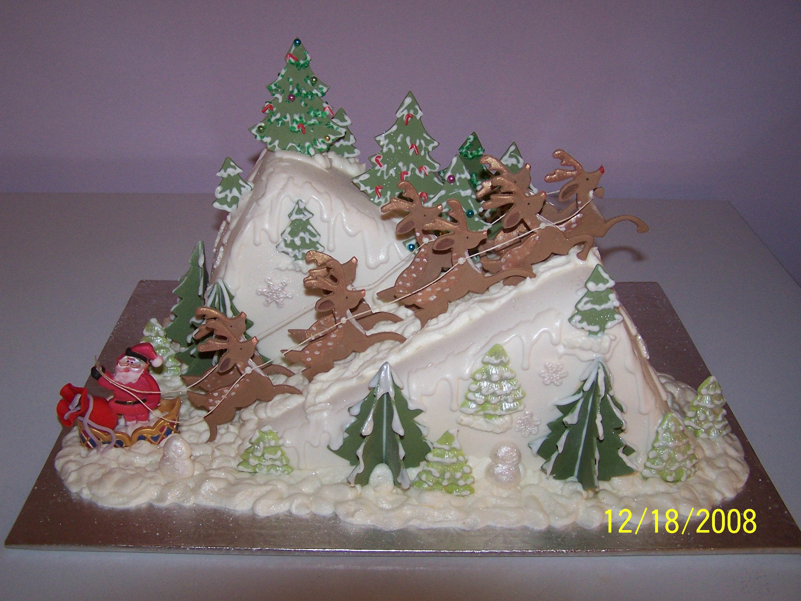 Christmascake.jpg
